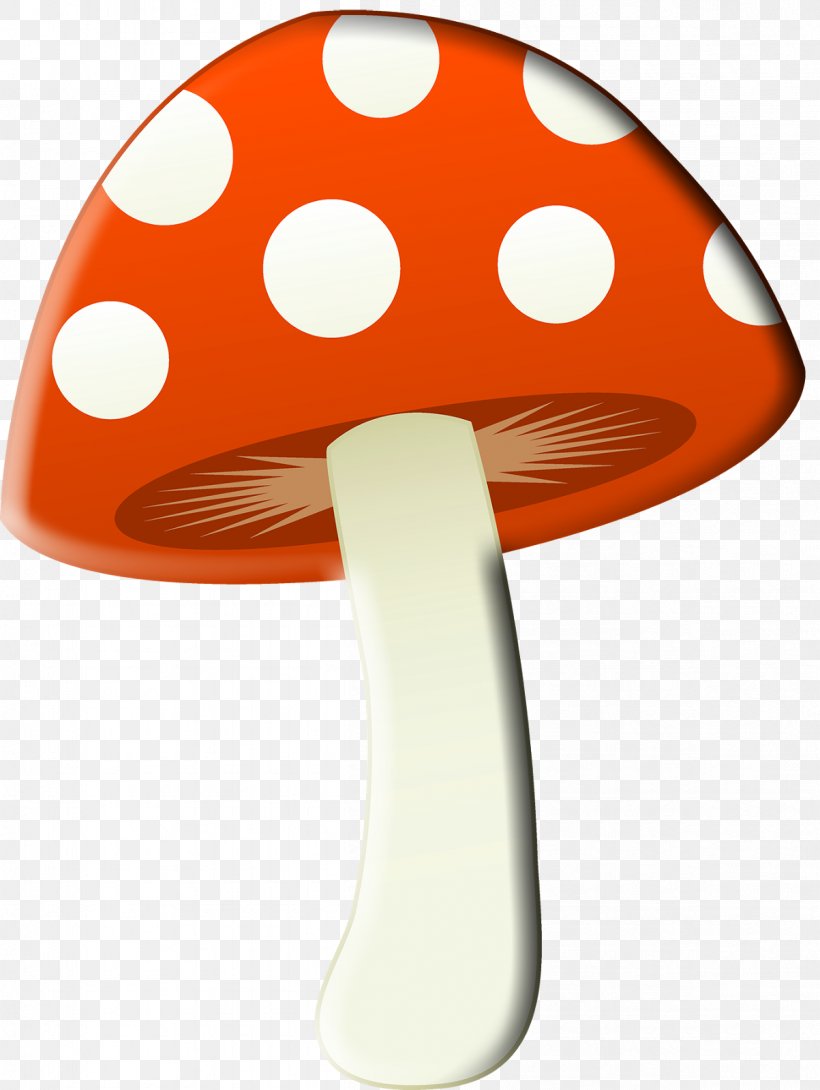 Common Mushroom Psilocybin Mushroom Clip Art, PNG, 1203x1600px, Mushroom, Cartoon, Common Mushroom, Fungus, Google Images Download Free