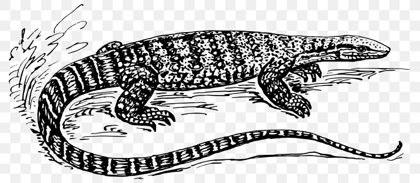 Lizard Komodo Dragon Reptile Common Iguanas Clip Art, PNG, 800x358px, Lizard, Alligator, Amphibian, Animal Figure, Art Download Free