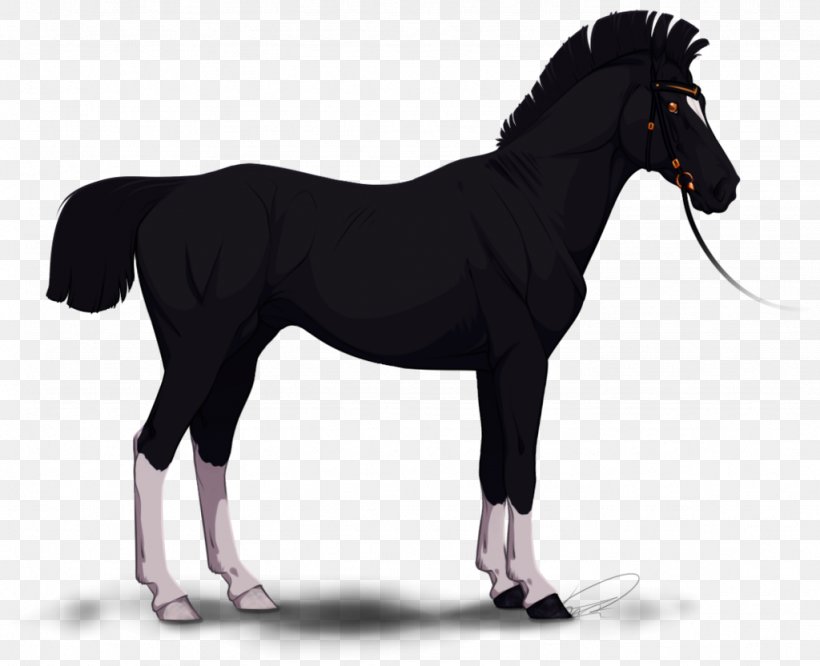 Stallion Mane Mare Mustang Pony, PNG, 1024x832px, Stallion, Animal, Bit, Bridle, Colt Download Free