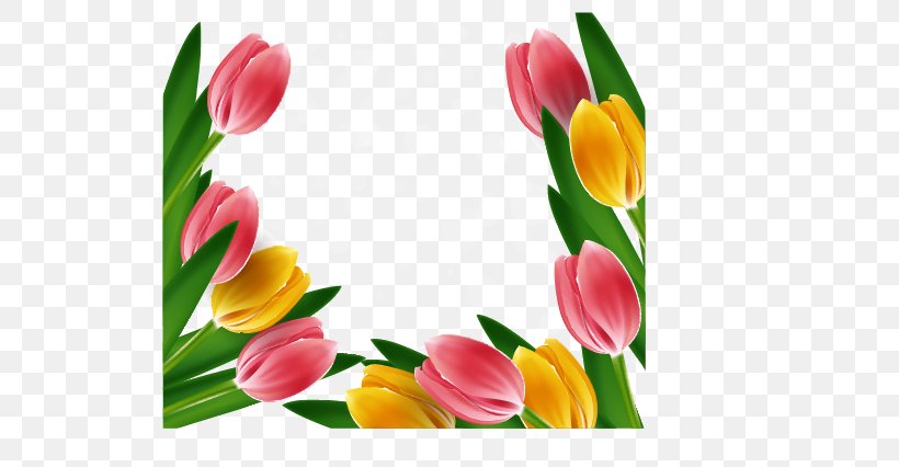 Tulip Flower Clip Art, PNG, 624x426px, Tulip, Cut Flowers, Display Resolution, Floral Design, Floristry Download Free