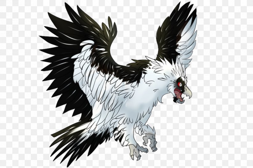 Bald Eagle Beak Illustration Vulture Fauna, PNG, 900x600px, Bald Eagle, Accipitriformes, Beak, Bird, Bird Of Prey Download Free
