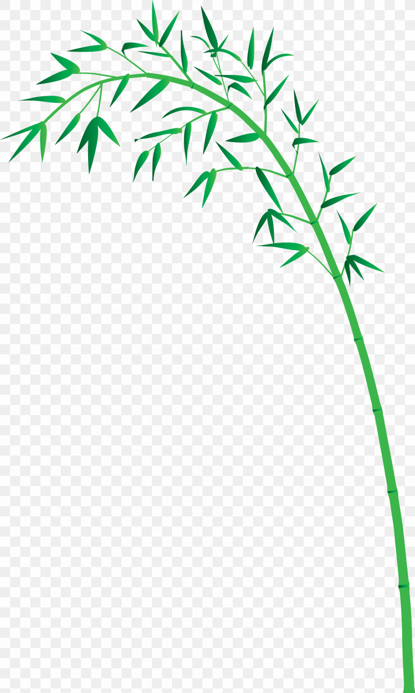 Bamboo Leaf, PNG, 1796x3000px, Bamboo, Branch, Flower, Grass, Grass Family Download Free