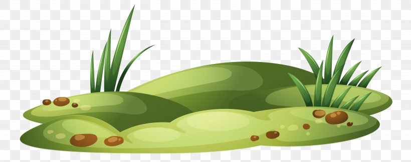 Clip Art Illustration Free Content Transparency, PNG, 5429x2146px, Lawn, Amphibian, Grass, Organism, Plant Download Free