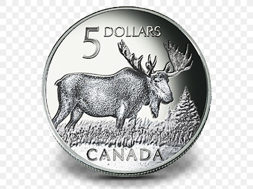 Deer Moose Elk Canada Coin, PNG, 640x612px, Deer, Antler, Canada, Canadian Dollar, Canadian Wildlife Download Free