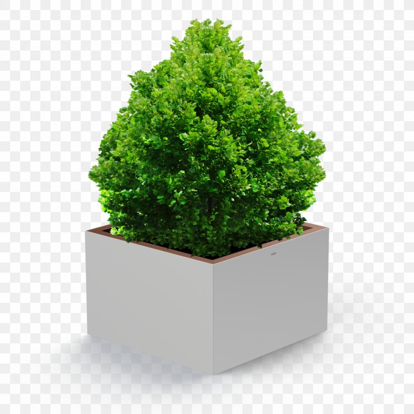 Flowerpot Houseplant Ornamental Plant Tree, PNG, 1500x1500px, Flowerpot, Clay, Evergreen, Glass, Grass Download Free