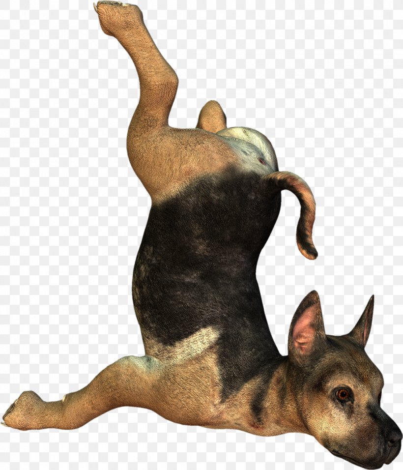 Dog Puppy 3D Computer Graphics, PNG, 1029x1200px, 3d Computer Graphics, Dog, Carnivoran, Concepteur, Dog Breed Download Free