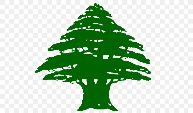 Flag Of Lebanon T-shirt President Of Lebanon, PNG, 679x480px, Flag Of Lebanon, Branch, Christmas, Christmas Decoration, Christmas Ornament Download Free