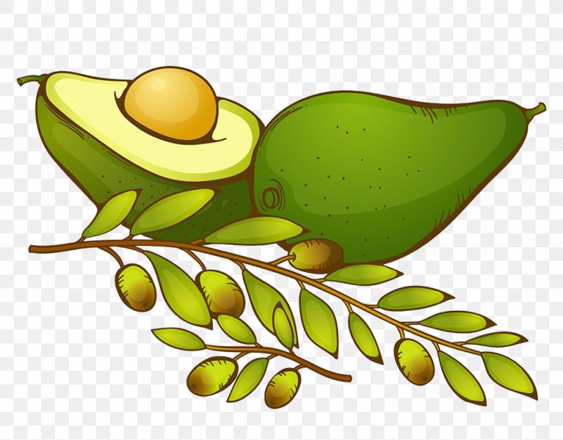 Avocado Clip Art, PNG, 1024x801px, Avocado, Animation, Artworks, Branch, Food Download Free