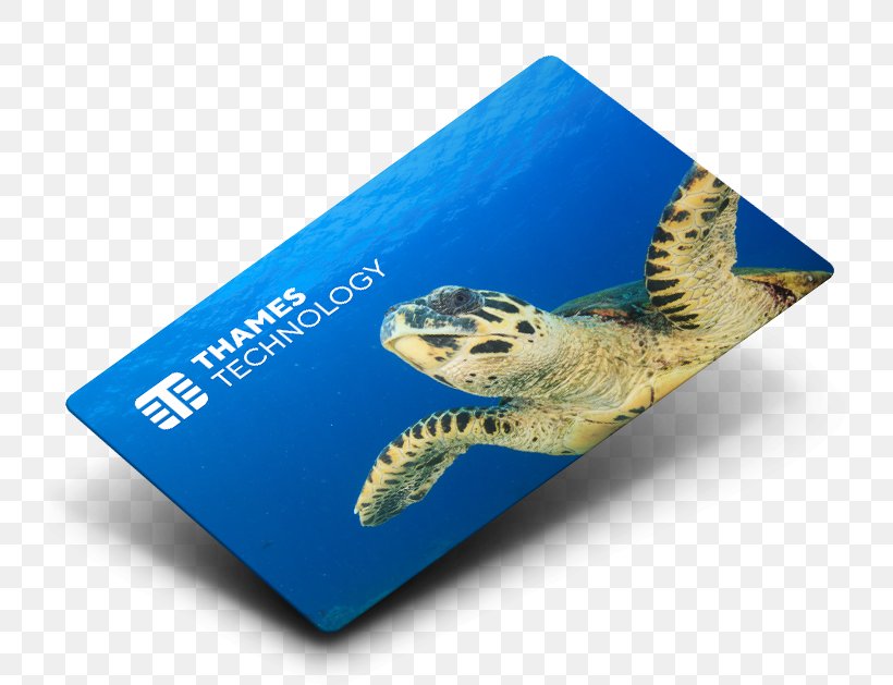 Business Loyalty Natural Environment Sustainability Thames Card Technology Ltd, PNG, 800x629px, Business, Animal, Corporate Social Responsibility, Credit Card, Customer Download Free