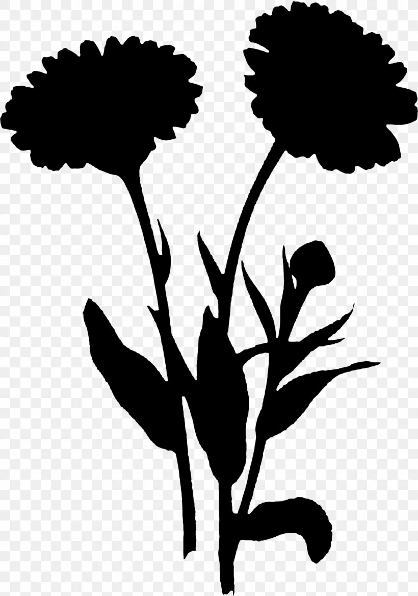Clip Art Leaf Plant Stem Silhouette Plants, PNG, 1717x2447px, Leaf, Blackandwhite, Botany, Dandelion, Flower Download Free
