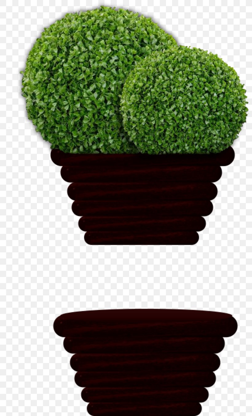 Flowerpot, PNG, 800x1352px, Flowerpot, Blume, Crock, Flower, Grass Download Free