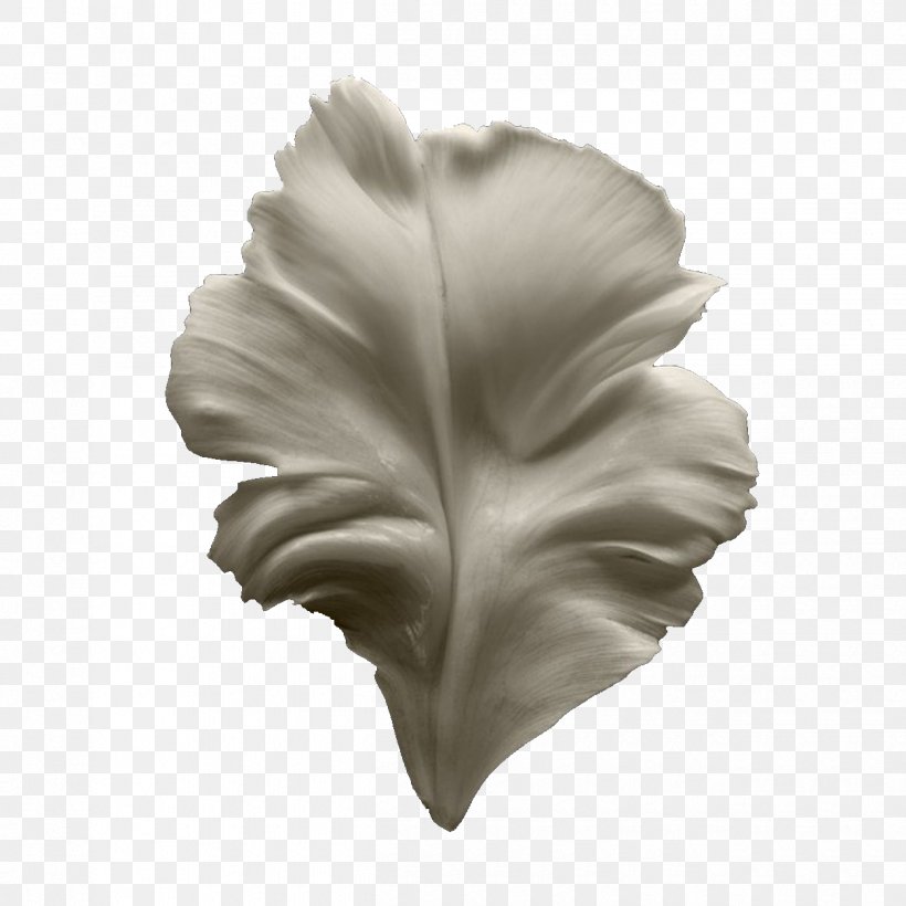 Tulip Petal, PNG, 1250x1250px, Tulip, Black And White, Designer, Flower, Leaf Download Free