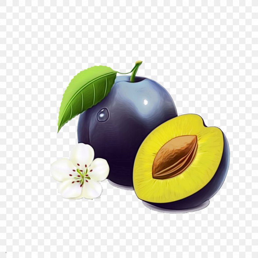 Fruit European Plum Plant Food Tree, PNG, 1024x1024px, Watercolor, European Plum, Food, Fruit, Paint Download Free