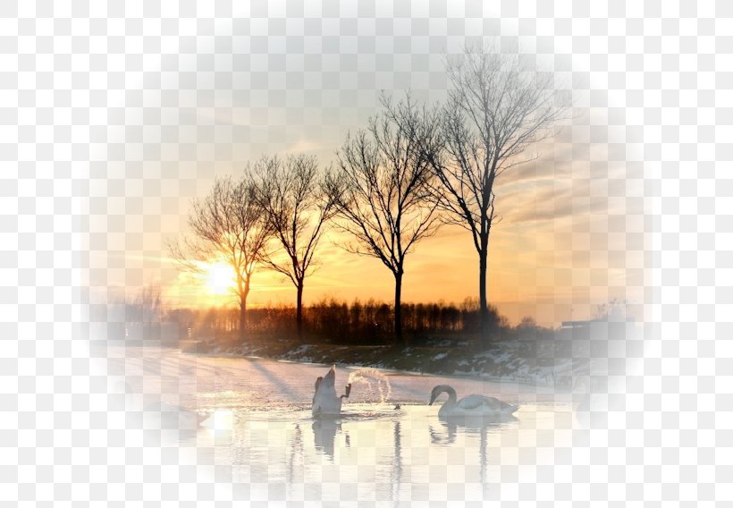 Landscape Painting, PNG, 640x568px, Landscape, Branch, Calm, Dawn, Evening Download Free