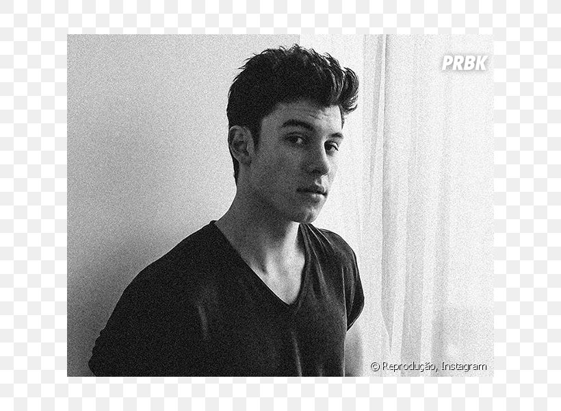 Shawn Mendes Fan Fiction Illuminate Pickering Aftertaste, PNG, 624x600px, Shawn Mendes, Aaliyah Mendes, Aftertaste, Bad Reputation, Black And White Download Free