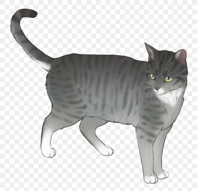 American Bobtail American Shorthair European Shorthair California Spangled Manx Cat, PNG, 908x880px, American Bobtail, American Shorthair, American Wirehair, Asian, Australian Mist Download Free