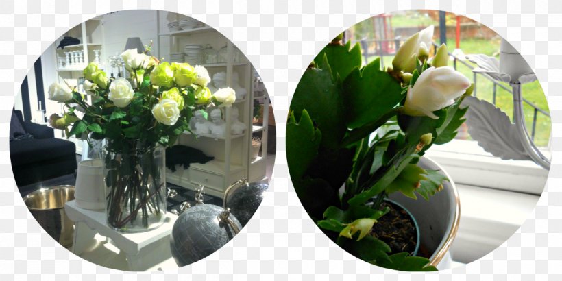 Floral Design Cut Flowers Flower Bouquet Flowerpot, PNG, 1200x600px, Floral Design, Cut Flowers, Flora, Floristry, Flower Download Free