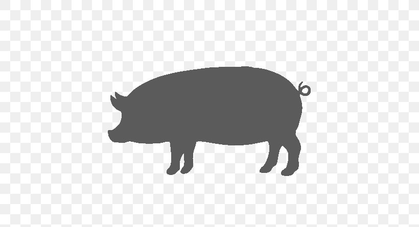Pig Cartoon, PNG, 700x445px, Pig, Agriculturist, Beef, Boar, Domestic Pig Download Free