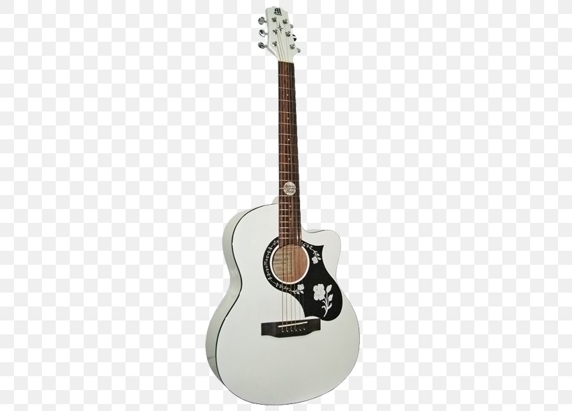 Twelve-string Guitar Acoustic-electric Guitar Acoustic Guitar Acoustic Bass Guitar, PNG, 640x590px, Watercolor, Cartoon, Flower, Frame, Heart Download Free