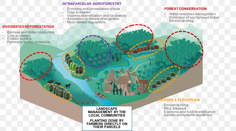 Agroforestry Reforestation Resource, PNG, 1448x805px, Agroforestry, Area, Conservation, Diagram, Farming Systems In India Download Free