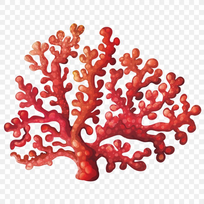Coral Reef Royalty-free Clip Art, PNG, 1500x1500px, Coral, Algae, Coral Reef, Fotosearch, Photography Download Free