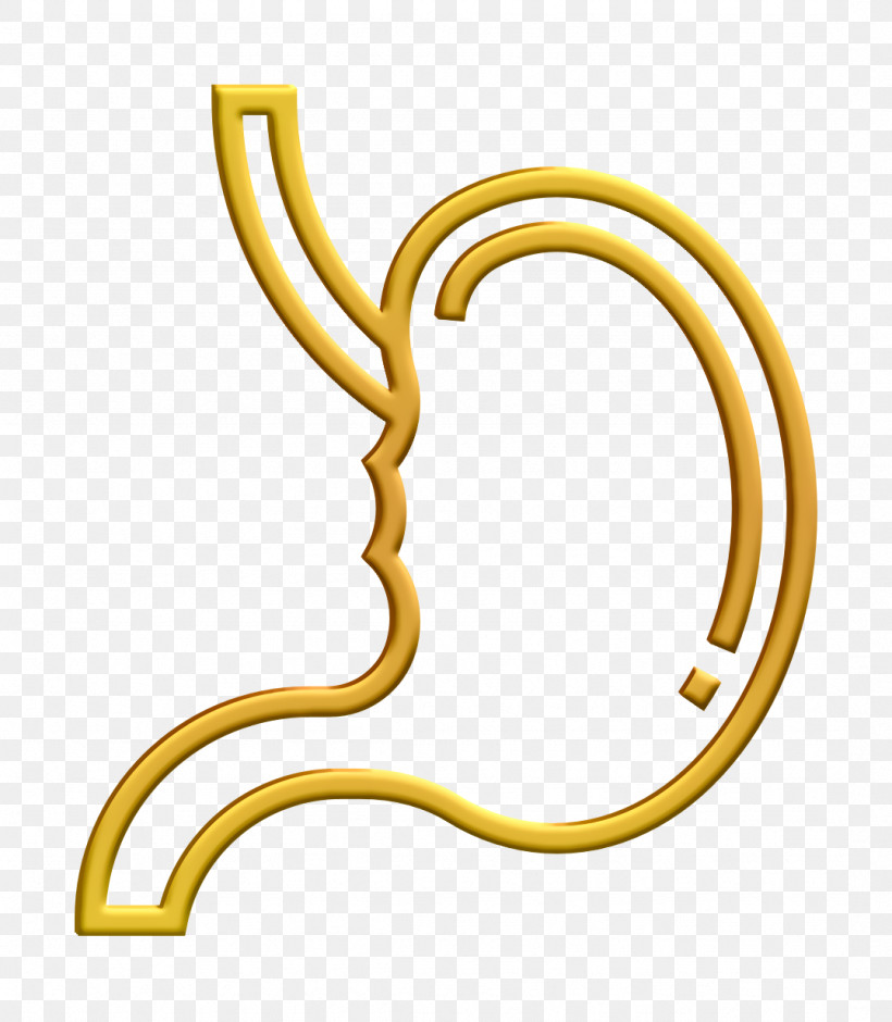Human Organs Icon Stomach Icon, PNG, 1076x1234px, Human Organs Icon, Geometry, Human Body, Jewellery, Line Download Free