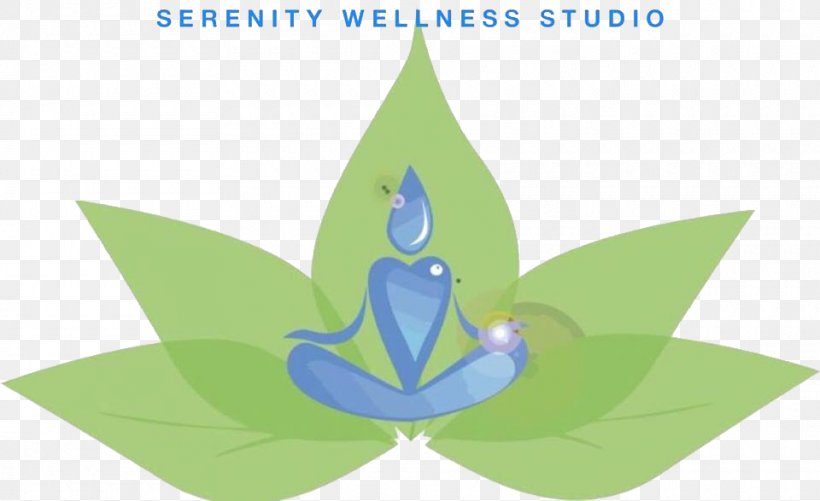 Serenity Wellness Studio Fashion Spa House Leaf Logo, PNG, 960x587px, Spa, Baltimore, Baltimore County Maryland, Book, Diagram Download Free