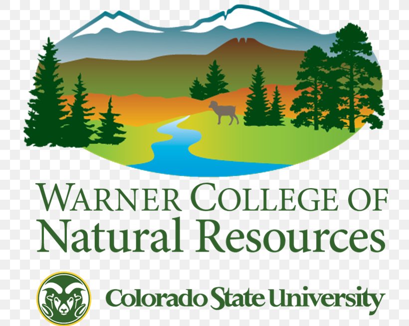 Warner College Of Natural Resources North Carolina State University, PNG, 757x653px, North Carolina State University, Area, Brand, Campus, College Download Free