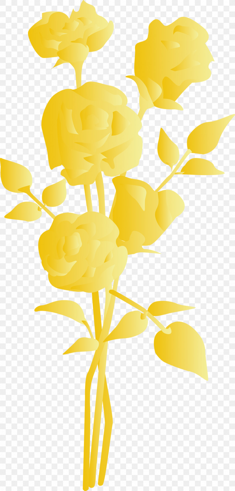 Yellow Cut Flowers Flower Plant Pedicel, PNG, 1433x3000px, Yellow, Cut Flowers, Flower, Pedicel, Plant Download Free