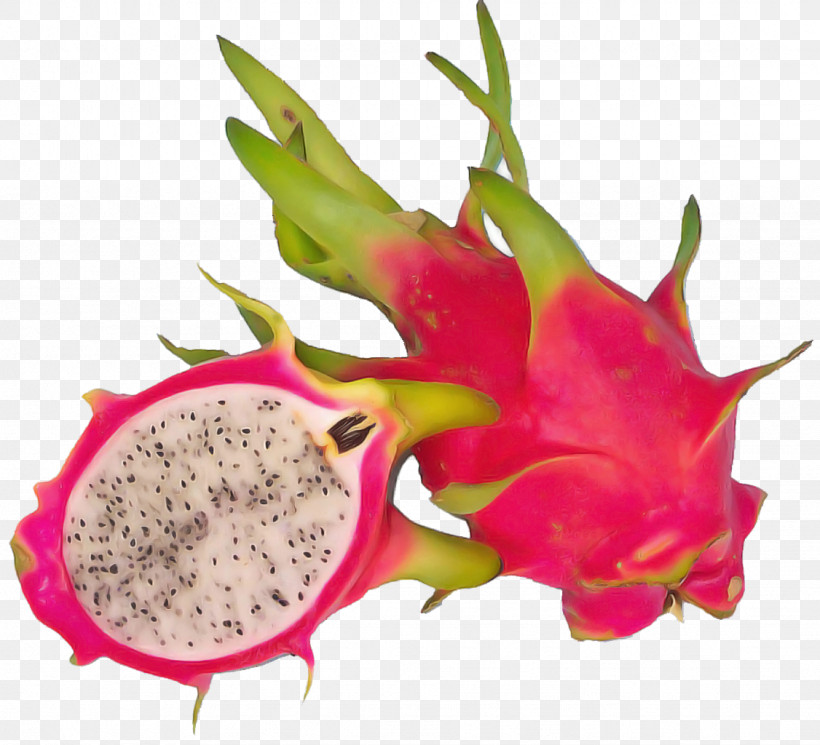 Juice Pitaya Fruit Fruit White-fleshed Pitahaya, PNG, 1126x1024px, Juice, Carambola, Common Guava, Dried Fruit, Fruit Download Free