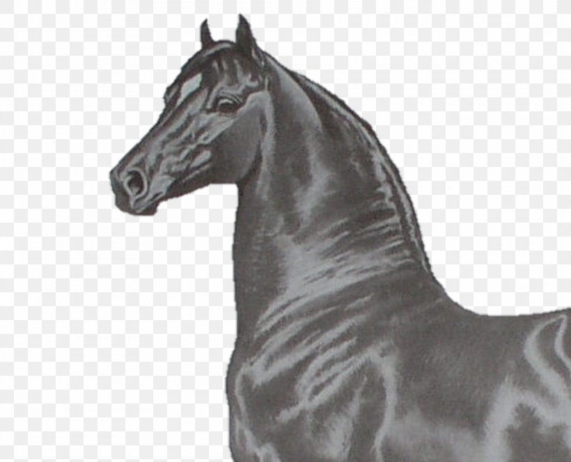 Mustang Stallion Mare Halter Rein, PNG, 1920x1557px, Mustang, Animal, Animal Figure, Blackandwhite, Figurine Download Free