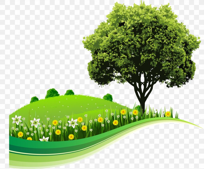 Tree Landscape Nature Drawing, PNG, 2794x2324px, Tree, Art, Drawing, Ecosystem, Flora Download Free