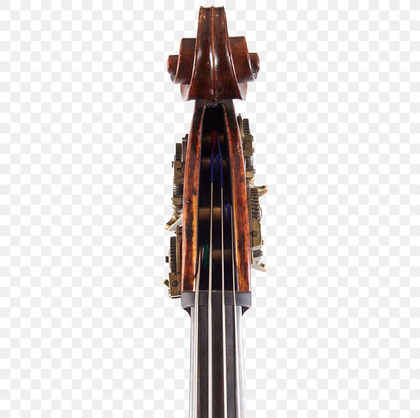 Violone Violin Viola Cello Double Bass, PNG, 500x816px, Violone, Advertising, Bass Guitar, Bowed String Instrument, Carlo Ferdinando Landolfi Download Free