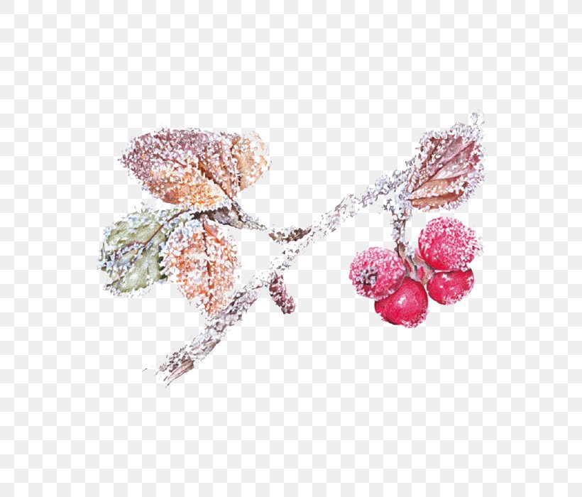 Winter Drawing Illustration, PNG, 700x700px, Winter, Art, Body Jewelry, Colored Pencil, Drawing Download Free