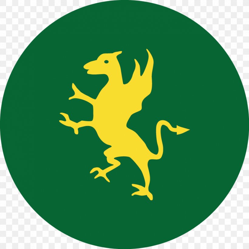 England Cricket Team Logo St Mirren F.C. Font, PNG, 917x917px, Cricket, Amphibian, Ball, Beak, Bing Download Free