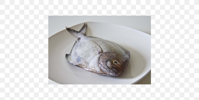 Fried Fish Black Pomfret Food, PNG, 634x411px, Fish, Black Pomfret, Carangidae, Catla Catla, Chicken As Food Download Free