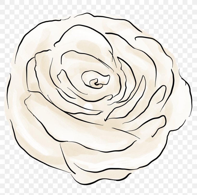Garden Roses Drawing Floral Design Cut Flowers, PNG, 1200x1183px, Garden Roses, Area, Artwork, Cut Flowers, Drawing Download Free