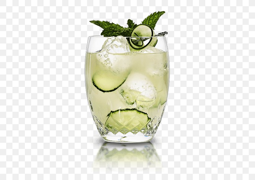 Gin And Tonic Tonic Water Cocktail Cointreau, PNG, 540x580px, Gin And Tonic, Alcoholic Drink, Caipirinha, Caipiroska, Cocktail Download Free