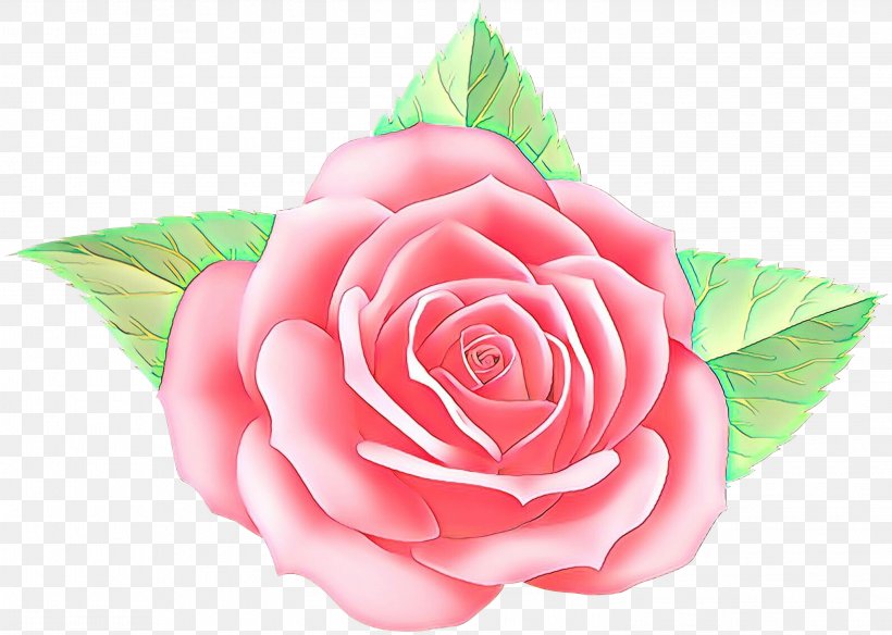 Garden Roses, PNG, 2998x2136px, Garden Roses, Flower, Hybrid Tea Rose, Petal, Pink Download Free