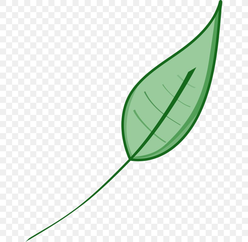 Leaf Green Clip Art, PNG, 651x800px, Leaf, Autumn Leaf Color, Blog, Free Content, Grass Download Free