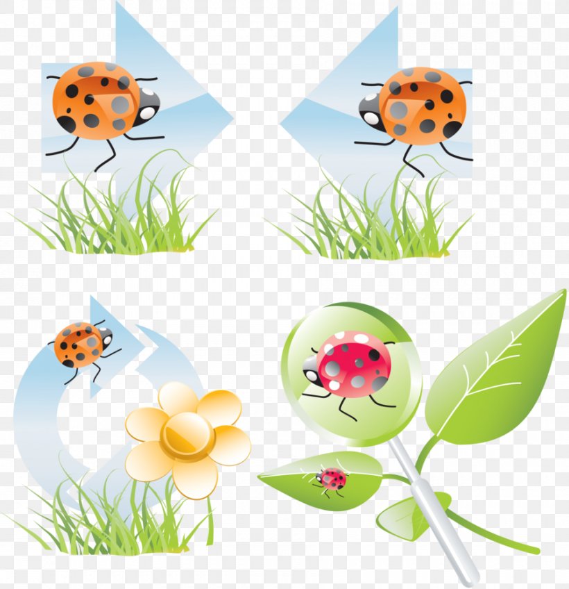 Coccinella Insect Clip Art, PNG, 900x931px, Coccinella, Alphabet, English, English Alphabet, Flora Download Free