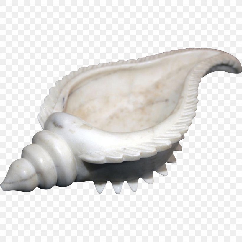 Shankha Conch Seashell Tibia Marble, PNG, 2048x2048px, Shankha, Bowl, Ceramic, Conch, Glass Download Free