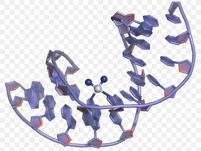 Cisplatin DNA Adduct Chemistry Coordination Complex, PNG, 1000x750px, Watercolor, Cartoon, Flower, Frame, Heart Download Free