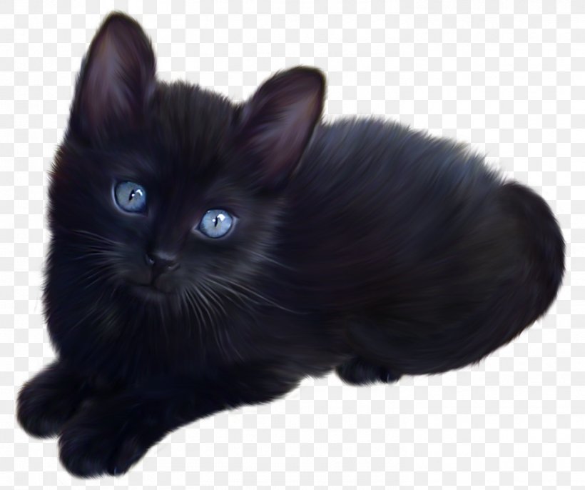 Persian Cat British Longhair British Semi-longhair Kitten Maine Coon, PNG, 1471x1231px, Persian Cat, Asian Semi Longhair, Black, Black Cat, Bombay Download Free