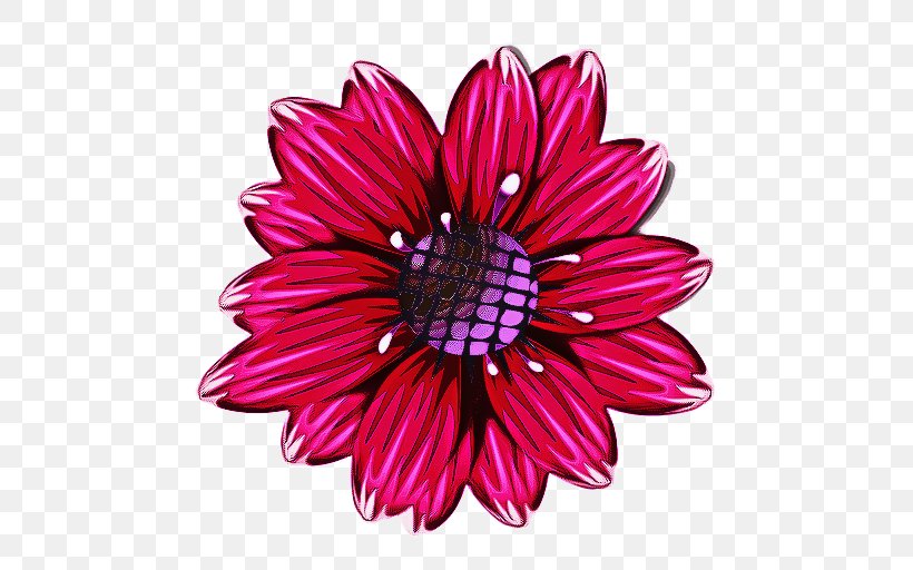 Pink Flowers Background, PNG, 512x512px, Transvaal Daisy, African Daisy, Aster, Barberton Daisy, Cut Flowers Download Free