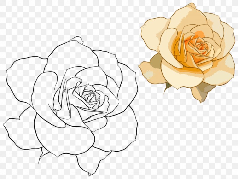 Beach Rose Rosa Chinensis Watercolor Painting Illustration, PNG, 1024x768px, Beach Rose, Animation, Area, Art, Artwork Download Free