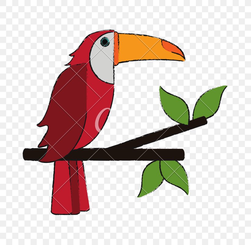 Bird, PNG, 800x800px, Brazil, Beak, Bird, Branch, Brazilian Carnival Download Free