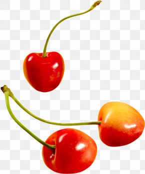 Frutas - Cherry Image File Formats PhotoScape PNG