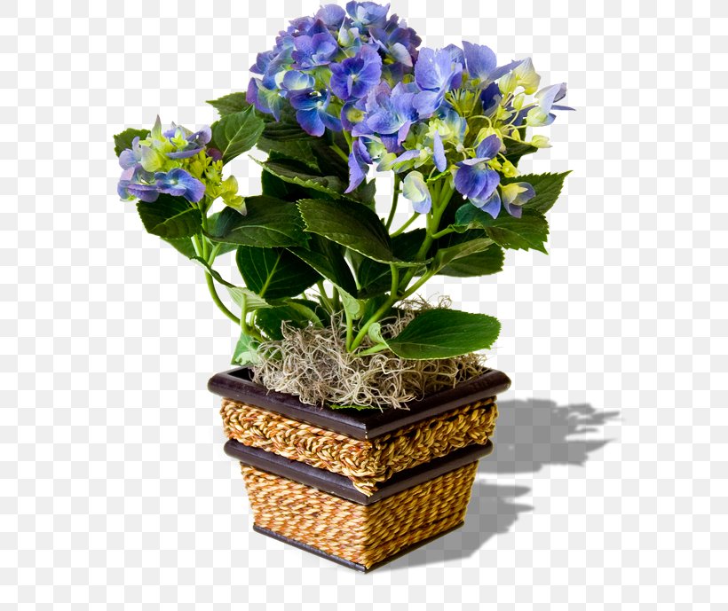 Flowerpot Pansy Clip Art, PNG, 600x689px, Flower, Cornales, Cut Flowers, Floral Design, Flower Bouquet Download Free