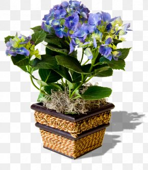 Flower - Flowerpot Pansy Clip Art PNG